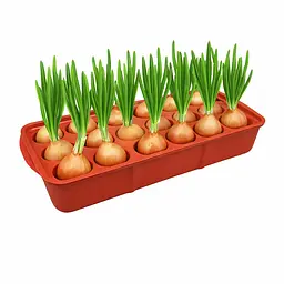 Лоток (піддон) для вирощування цибулі та розсади луковичниця 2.2 л 38 × 16 × 6 см Зелений 88089