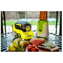 Перетворювач DC-AC (Акумуляторний інвертор) Ryobi RY36BI300A-0 - мініатюра 8