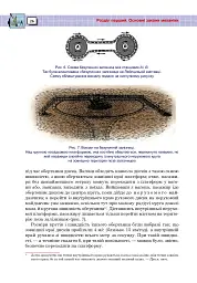 Захоплююча фізика. Книга 2 - мініатюра 25