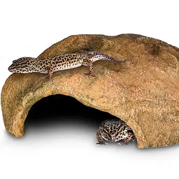 Декорація печера Terrario Gecko Cave L 27x22x9см (292410) - мініатюра 4