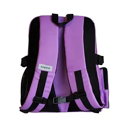 Рюкзак шкільний Bagland Buddy 16 л фіолетово - зелений - мініатюра 4