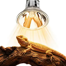 Галогенна лампа UVA Terrario Nadara Pro 25W E27 для тераріуму - мініатюра 2