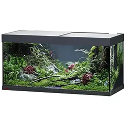 Акваріум Eheim vivaline LED 180 1x13.4W (LED) антрацитовий без тумби (0613059) - мініатюра 1