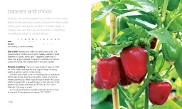200 Veg-Growing Basics - мініатюра 5