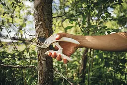 Секатор площинний Fiskars White P57 (1026916) - мініатюра 2