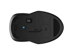 Мышь HP 250 Dual Black (6V2J7AA) - миниатюра 2