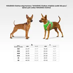Шлея для собак м'яка Waudog Clothes з QR паспортом малюнок Авокадо S2 В 46-50 см С 43-45 см - мініатюра 2
