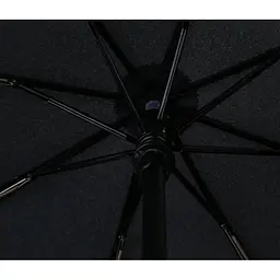 Парасолька Pinlo Automatic Black (PLZDS04XM) - мініатюра 3