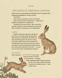 Колесо року. Ілюстрований путівник ритмами природи - мініатюра 8