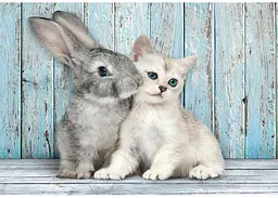 Пазл Clementoni High Quality Collection: Милі друзі (High Quality Collection - Cat & Bunny Puzzle - 500 pcs.), 500 ел. (35539) - мініатюра 2