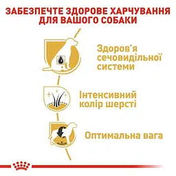 Сухий корм для дорослих собак породи Шнауцер Royal Canin Schnauzer Adult, з м'ясом птиці, 3 кг (2220030) - мініатюра 6
