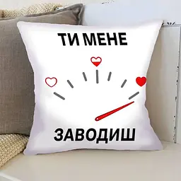 Подушка 3D Спідометр мого кохання 4393_D 17852 35х35 см
