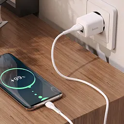 Комплект Адаптер мережевий HOCO Type-C Cable Briar dual port charger set N8 2USB білий - мініатюра 6