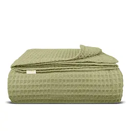 Плед-покривало Cosas Sage Greek Waffle вафельний 200х220 см шавлія (Blanket_76Sage_GreekWaffle_200x220)