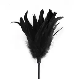 Лоскоталка чорна Art of Sex - Feather Paddle, перо молодого півня Art of Sex SO6609 95086 - мініатюра 2