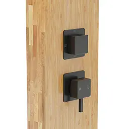 Душова панель Corsan Basti bamboo black B002MBL - мініатюра 4