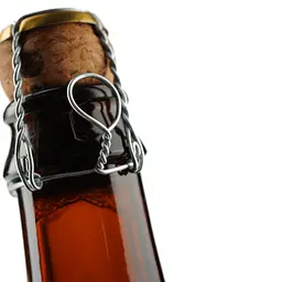 Пиво La Trappe Trappist Dubbel, темне, 7%, 0,75 л - мініатюра 4