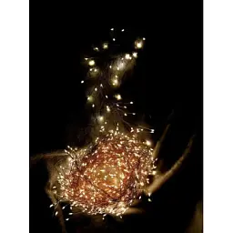Гірлянда Luca Lighting кластер Мідна струна теплий білий 8 м (8718861852844) - мініатюра 3
