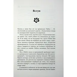 Книга Таємничий світ котів - Гербі Бреннан Фабула (9786175223475) - мініатюра 10