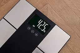 Підлогові ваги Adler AD 8165 225 кг - мініатюра 9