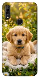 TPU чохол Demsky Small labradore для Huawei P Smart Z