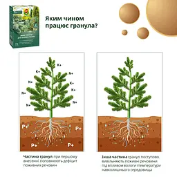 Тверде добриво тривалої дії для хвойних COMPO 2 кг - мініатюра 9