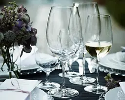 Набір келихів для води Riedel Vinum, 2 шт., 350 мл (6416/02) - мініатюра 4