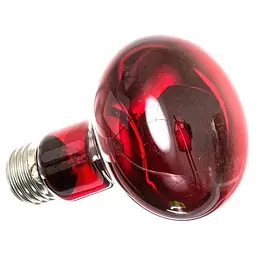 Інфрачервона нагрівальна лампа Repti-Zoo Infrared Heat 50W (R63050) - мініатюра 1