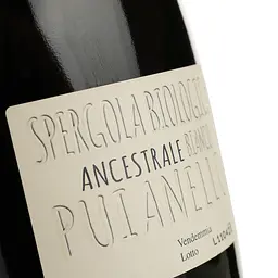 Вино ігристе Puianello Ancestrale Biologica біле сухе 0.75 л - мініатюра 3
