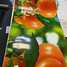 Кухонний фартух Мандарини ПВХ наклейка оранжеві апельсини цитруси Зелений 60х300 см Happy Pocket Z180800 - мініатюра 9