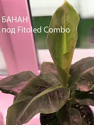 Светодиодный фитосветильник FitoLED 25 Combo (полный спектр) - мініатюра 8