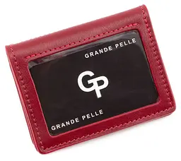 Чоловіча обкладинка для документів GRANDE PELLE 10х8х1,5 см acs0024491 - мініатюра 4