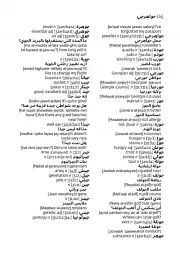 Collins Gem Arabic Dictionary - мініатюра 5