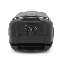 Акустична система Voltronic з підсвічуванням ZQS8139, 15W, вбудований акум 3600mAh, живлення від USB кабелю, Black, Box - мініатюра 5