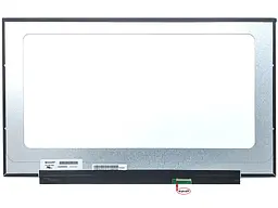 Матриця NE173FHM-NZ6 17.3" Slim eDP 390mm 1920х1080 IPS, 360Hz, 40pin, без кріплень, матова