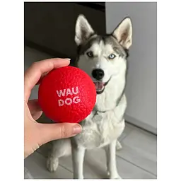 Іграшка для собак Waudog Red Ball 70 мм - мініатюра 6