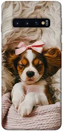 TPU чохол Demsky Sleepy spaniel для Samsung Galaxy S10
