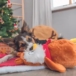 Іграшка для собак Trixie Різдвяна сова зі звуком плюш 33 см (92629_Christmas) - мініатюра 3