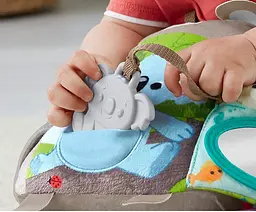 М'яка книжечка Fisher-Price Лісові друзі (GJD37) - мініатюра 7