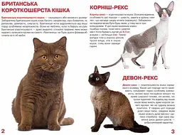 Велика книга Кристал Бук Кішки (F00013018) - мініатюра 2