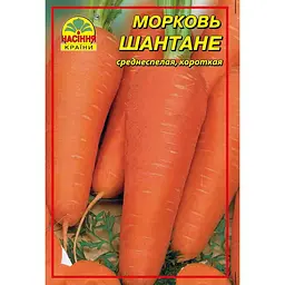 Насіння моркви Шантане 0,5 кг - мініатюра 3