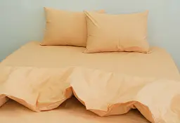 Комплект постільної білизни TAG Tekstil Apricot Cream Євро - мініатюра 2