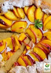 Саджанець Agro-Market Персик колоновидний помаранчевий із засмагою на сонячному боці Сувенір (Souvenir) (преміальний середньостиглий сорт) 1 шт. в упаковці (21352) - мініатюра 3