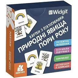 Картки з піктограмами. Природні явища. Пори року - Widgit Symbols (518825)