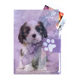 Папка - куточок Kite із клапаном A4 Rachael Hale (R25-248) - миниатюра 5