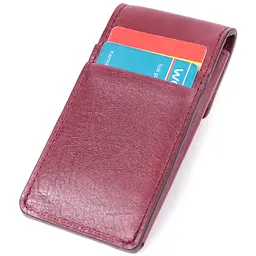 Ключниця для жінок у вигляді футляра з натуральної шкіри GRANDE PELLE 6,5х13х1 см acs0032263 - мініатюра 5