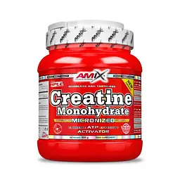 Креатин Creatine monohydrate 500 грам AMIX fit0016156