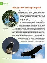 Енциклопедія для допитливих А5 : Хижаки (Українська, 01 КРЕЙДОВАНИЙ ) - мініатюра 2