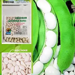 Квасоля "Цукрова біла" (Зипер) ТМ "Весна" 5г (22910)