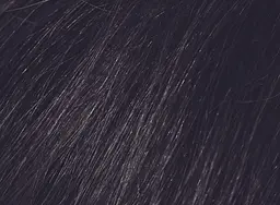 Шампунь камуфлюючий Beardburys Men's Color Shampoo Black 2N чорний - мініатюра 5